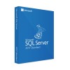 WINDOWS SQL SERVER 2017 STANDARD - ĮSKAITANT CALS LICENCIJAS