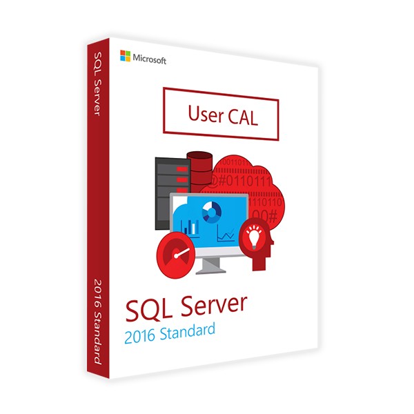 MICROSOFT SQL SERVER STANDARD 2016 - 10 NAUDOTOJO CAL