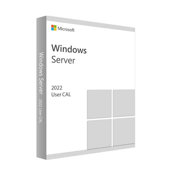 WINDOWS SERVER 2022 - 10 GEBRUIKER CALS