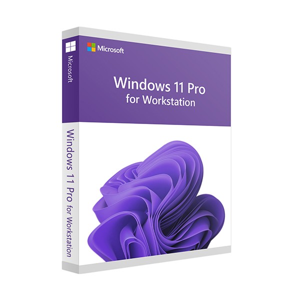 Windows 11 Pro pro pracovní stanice