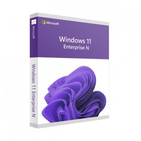 Windows 11 Enterprise N