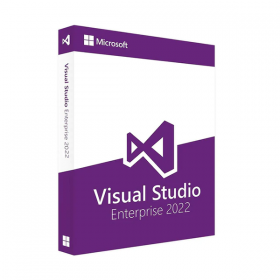 VISUAL STUDIO 2022 VERSLO