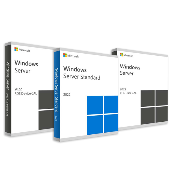 2022 STANDARD VE CALS LİSANSI İLE SUNUCU PAKETİ