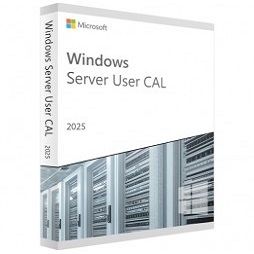 "MICROSOFT WINDOWS SERVER 2025 - 10 VARTOTOJŲ CAL'Ų"