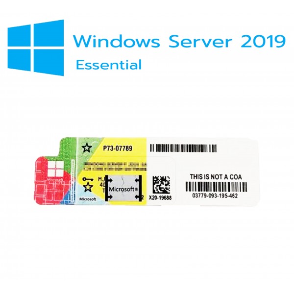 Windows Server 2019 Essentials (AUTOCOLLANTS)